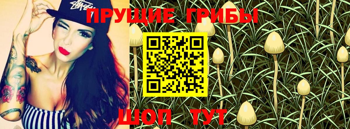 Галлюциногенные грибы GOLDEN TEACHER  Вход с VPN  Зеленогорск 