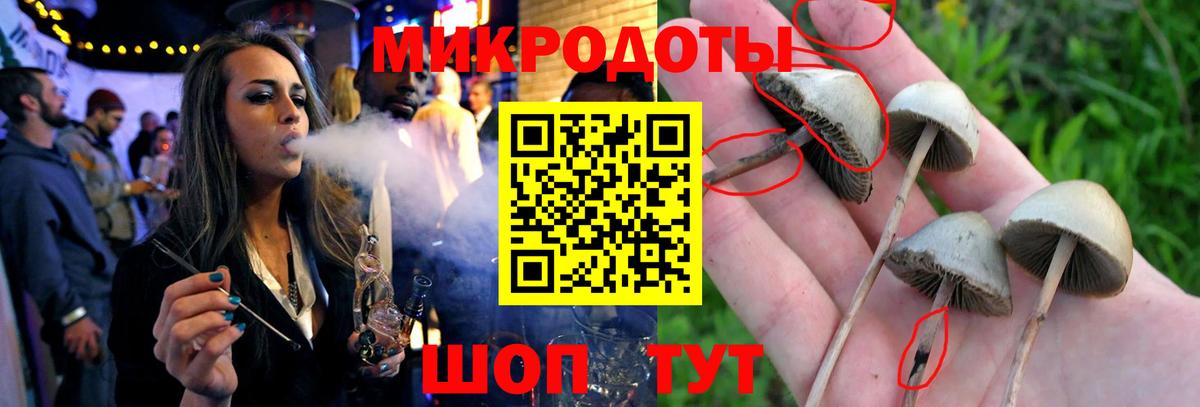 Псилоцибиновые грибы Magic Shrooms Зеленогорск
